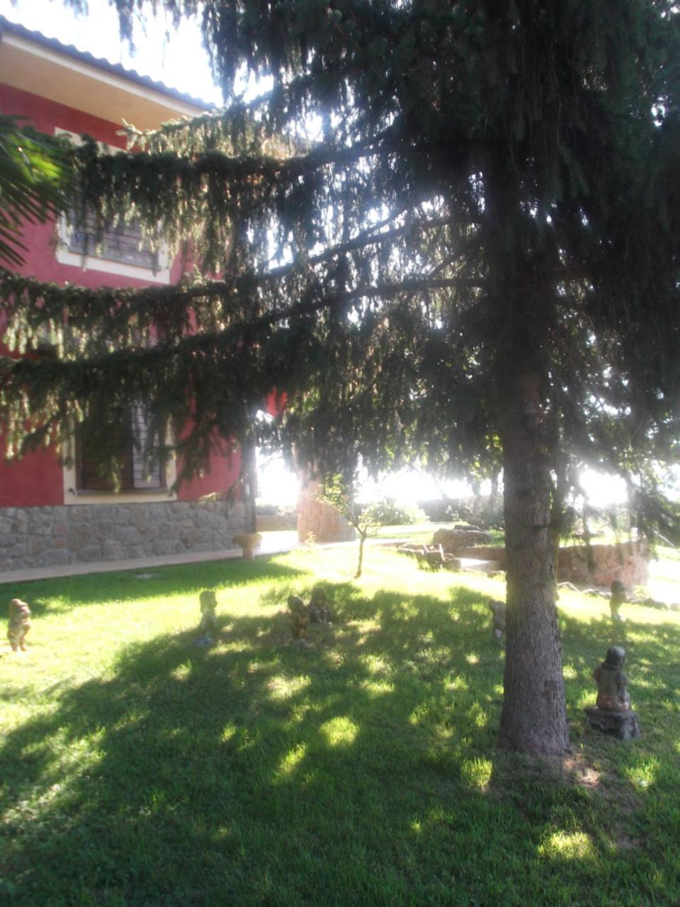 Agriturismo Casal Grande Canepina Extérieur photo